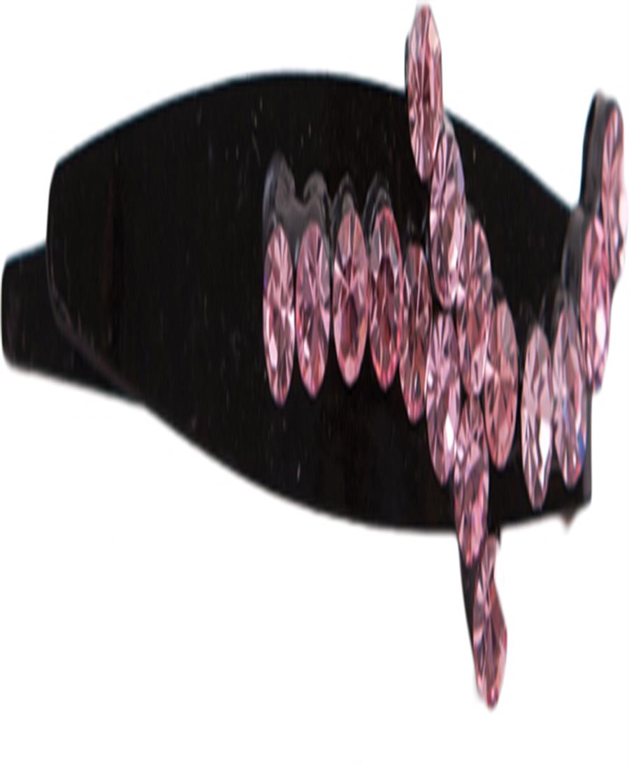 SMJHPN048