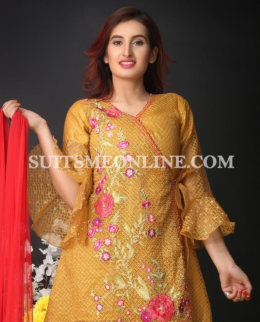 TSML0244